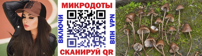 как найти   OMG сайт  Галлюциногенные грибы GOLDEN TEACHER  Усть-Илимск 